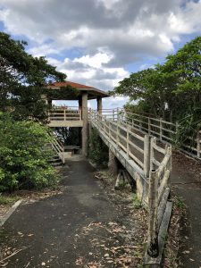November 10, 2019 - (06) Iriomote - Oomija Road Park - 13 of 27
