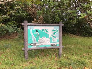 November 10, 2019 - (06) Iriomote - Oomija Road Park - 14 of 27