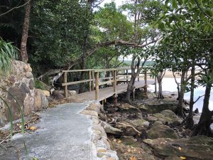 November 10, 2019 - (06) Iriomote - Oomija Road Park - 15 of 27