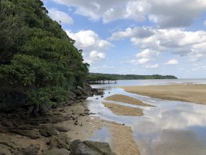 November 10, 2019 - (06) Iriomote - Oomija Road Park - 16 of 27