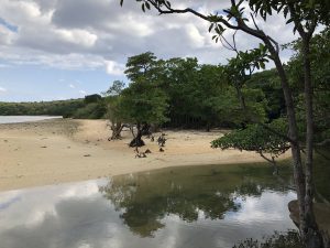 November 10, 2019 - (06) Iriomote - Oomija Road Park - 17 of 27