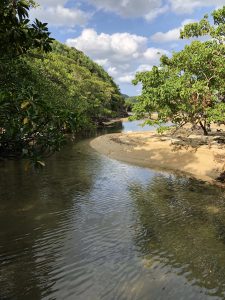 November 10, 2019 - (06) Iriomote - Oomija Road Park - 18 of 27