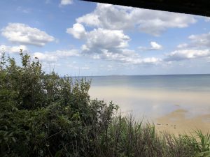 November 10, 2019 - (06) Iriomote - Oomija Road Park - 2 of 27