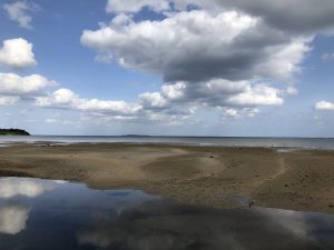 November 10, 2019 - (06) Iriomote - Oomija Road Park - 26 of 27