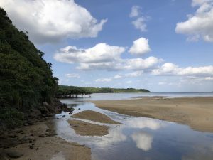November 10, 2019 - (06) Iriomote - Oomija Road Park - 27 of 27