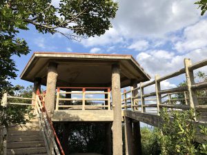 November 10, 2019 - (06) Iriomote - Oomija Road Park - 3 of 27
