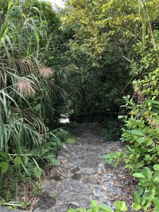 November 10, 2019 - (06) Iriomote - Oomija Road Park - 4 of 27