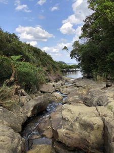 November 10, 2019 - (06) Iriomote - Oomija Road Park - 5 of 27