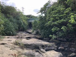 November 10, 2019 - (06) Iriomote - Oomija Road Park - 6 of 27