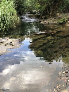 November 10, 2019 - (06) Iriomote - Oomija Road Park - 8 of 27
