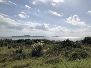 November 10, 2019 - (07) Iriomote - Nobaruzaki - 1 of 2