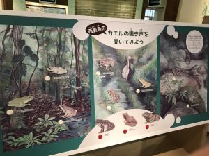 November 10, 2019 - (08) Iriomote - Iriomote Wildlife Conservation Center - 10 of 10