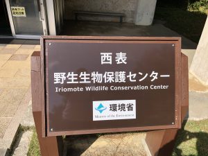 November 10, 2019 - (08) Iriomote - Iriomote Wildlife Conservation Center - 2 of 10