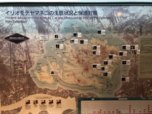 November 10, 2019 - (08) Iriomote - Iriomote Wildlife Conservation Center - 4 of 10