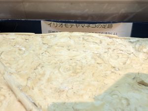 November 10, 2019 - (08) Iriomote - Iriomote Wildlife Conservation Center - 6 of 10