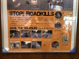 November 10, 2019 - (08) Iriomote - Iriomote Wildlife Conservation Center - 7 of 10