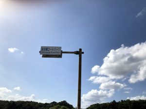 November 10, 2019 - (09) Iriomote - Shiirabashi Road Park - 1 of 23