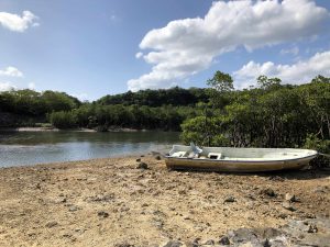 November 10, 2019 - (09) Iriomote - Shiirabashi Road Park - 10 of 23