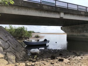November 10, 2019 - (09) Iriomote - Shiirabashi Road Park - 11 of 23