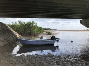 November 10, 2019 - (09) Iriomote - Shiirabashi Road Park - 13 of 23