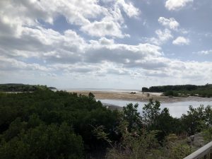 November 10, 2019 - (09) Iriomote - Shiirabashi Road Park - 16 of 23