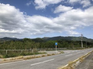 November 10, 2019 - (09) Iriomote - Shiirabashi Road Park - 17 of 23