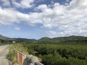 November 10, 2019 - (09) Iriomote - Shiirabashi Road Park - 18 of 23