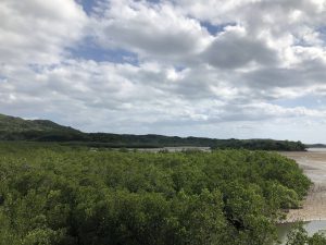 November 10, 2019 - (09) Iriomote - Shiirabashi Road Park - 19 of 23