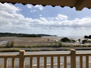 November 10, 2019 - (09) Iriomote - Shiirabashi Road Park - 2 of 23