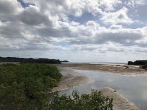 November 10, 2019 - (09) Iriomote - Shiirabashi Road Park - 20 of 23