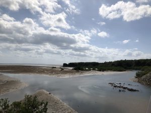 November 10, 2019 - (09) Iriomote - Shiirabashi Road Park - 21 of 23