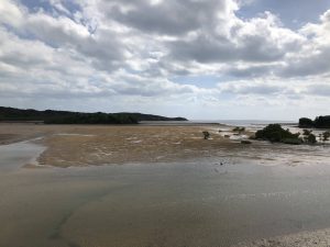 November 10, 2019 - (09) Iriomote - Shiirabashi Road Park - 22 of 23