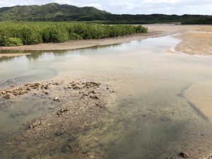 November 10, 2019 - (09) Iriomote - Shiirabashi Road Park - 23 of 23