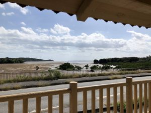 November 10, 2019 - (09) Iriomote - Shiirabashi Road Park - 3 of 23