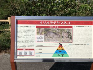 November 10, 2019 - (09) Iriomote - Shiirabashi Road Park - 4 of 23