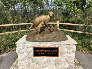 November 10, 2019 - (09) Iriomote - Shiirabashi Road Park - 5 of 23