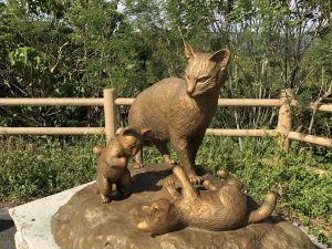 November 10, 2019 - (09) Iriomote - Shiirabashi Road Park - 6 of 23