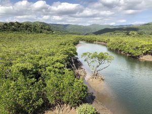 November 10, 2019 - (09) Iriomote - Shiirabashi Road Park - 8 of 23