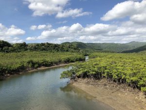 November 10, 2019 - (09) Iriomote - Shiirabashi Road Park - 9 of 23