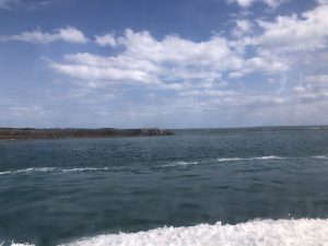 November 10, 2019 - (10) Iriomote - Ohara Ferry Port - 10 of 10