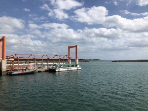 November 10, 2019 - (10) Iriomote - Ohara Ferry Port - 4 of 10