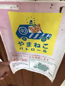 November 10, 2019 - (10) Iriomote - Ohara Ferry Port - 5 of 10