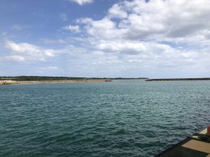November 10, 2019 - (10) Iriomote - Ohara Ferry Port - 7 of 10