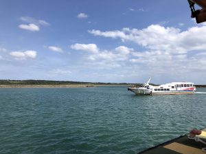 November 10, 2019 - (10) Iriomote - Ohara Ferry Port - 8 of 10