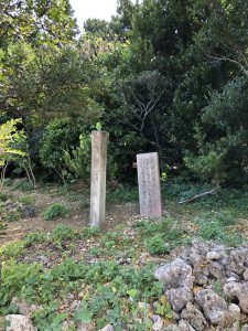 November 10, 2019 - (15) Hateruma - Village - 3 of 6