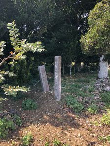 November 10, 2019 - (15) Hateruma - Village - 4 of 6