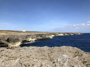 November 10, 2019 - (20) Hateruma - Southernmost Point in Japan - 16 of 27