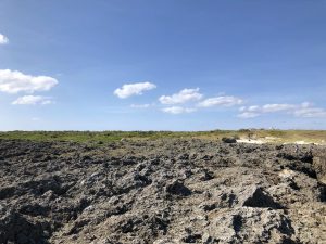 November 10, 2019 - (20) Hateruma - Southernmost Point in Japan - 20 of 27