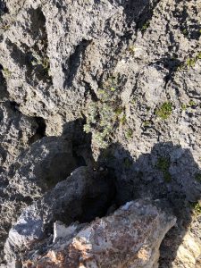 November 10, 2019 - (20) Hateruma - Southernmost Point in Japan - 23 of 27