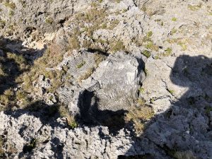November 10, 2019 - (20) Hateruma - Southernmost Point in Japan - 24 of 27